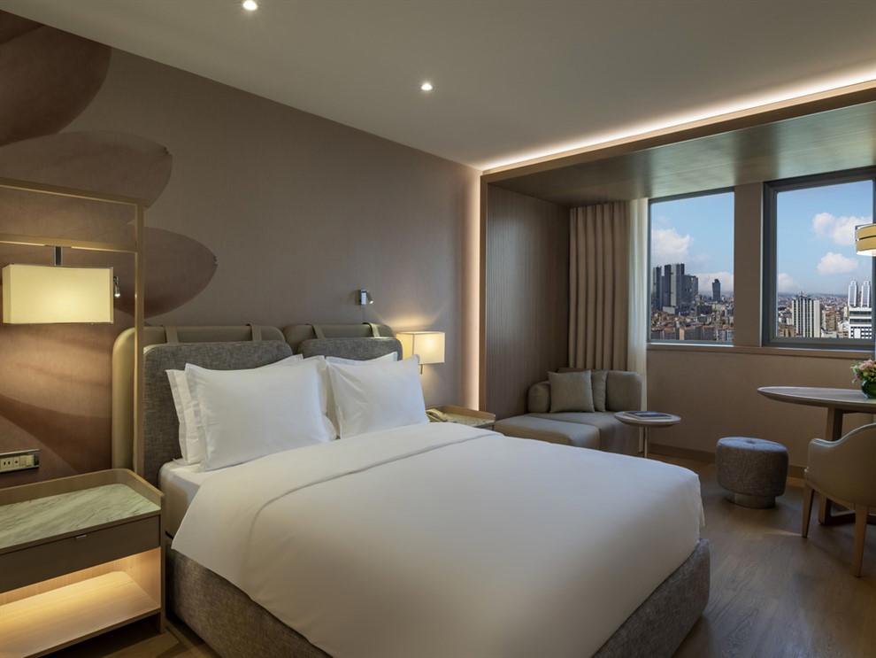 Mövenpick Hotel Istanbul Bosphorus Двухместный номер с 1 двуспальной кроватью, 1 односпальная кровать (Bosphorus)